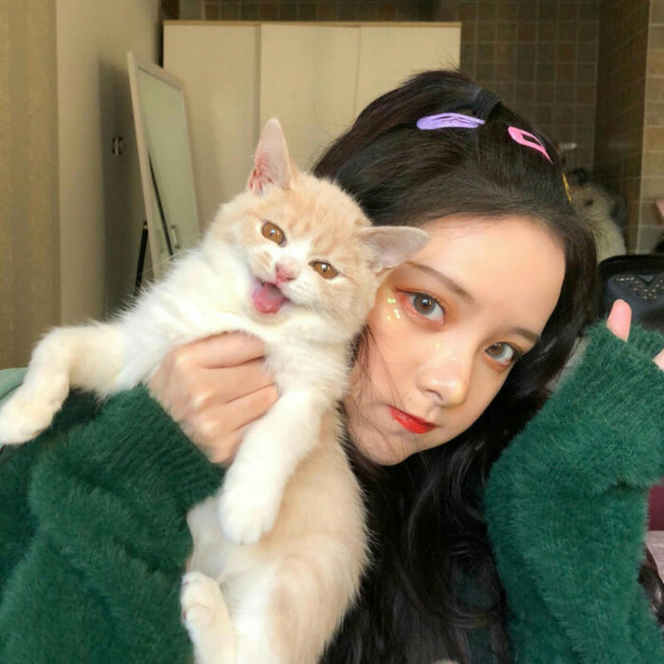 古桥一浩 - 猪蜜蜜电视剧大全在线观看11 - 网页看电影
